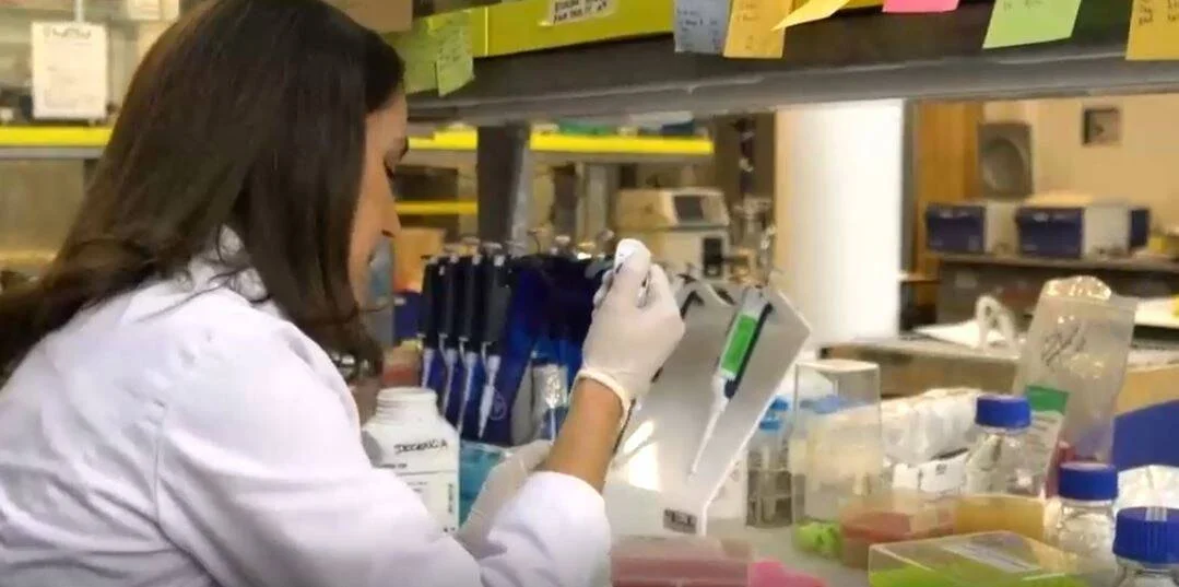 Investigadora con bata blanca y guantes usa una micropipeta multicanal en un laboratorio equipado con reactivos y material científico.