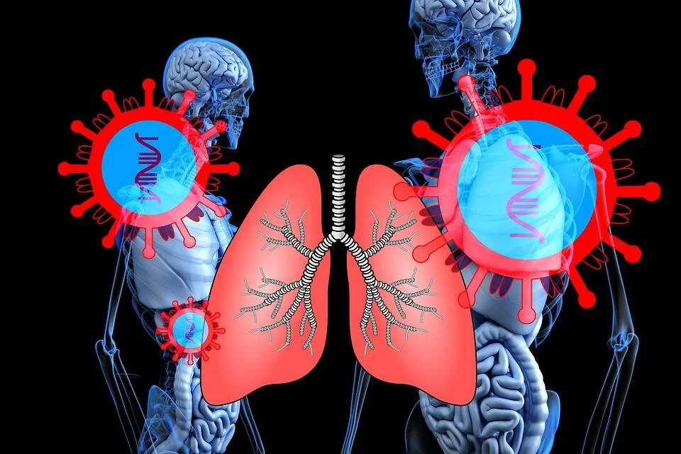Representación 3D de virus con ADN atacando los pulmones y el sistema respiratorio de dos cuerpos humanos transparentes.