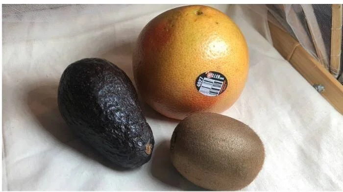 Una palta madura, una toronja con etiqueta de precio y un kiwi dispuestos sobre una tela blanca.