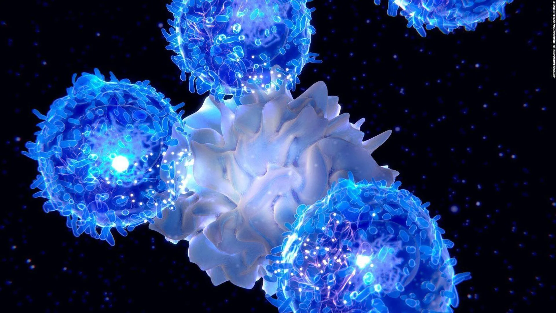 Representación digital de células T del sistema inmune rodeando y atacando una célula cancerosa blanca sobre fondo oscuro.