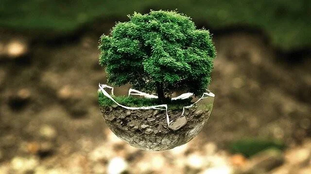 Árbol verde y frondoso creciendo sobre una semiesfera de tierra y roca que flota en el aire, simbolizando la fragilidad del medio ambiente.