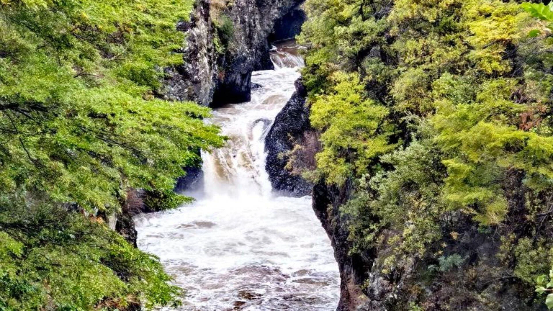 Río caudaloso cae en cascada a través de un estrecho cañón de roca oscura rodeado de vegetación verde exuberante.
