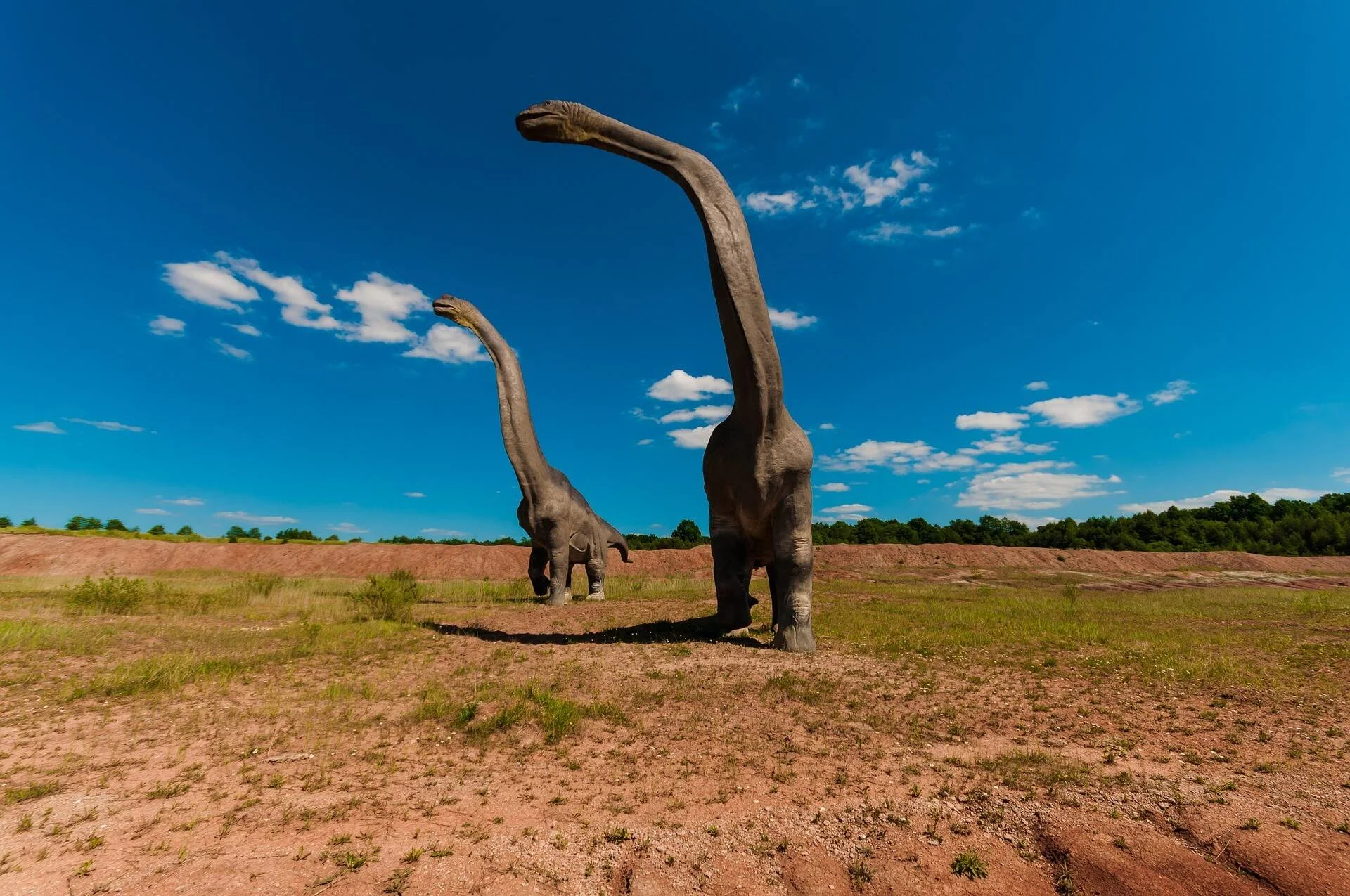 Dos esculturas a tamaño real de dinosaurios saurópodos de cuello largo en un campo abierto bajo un cielo azul.