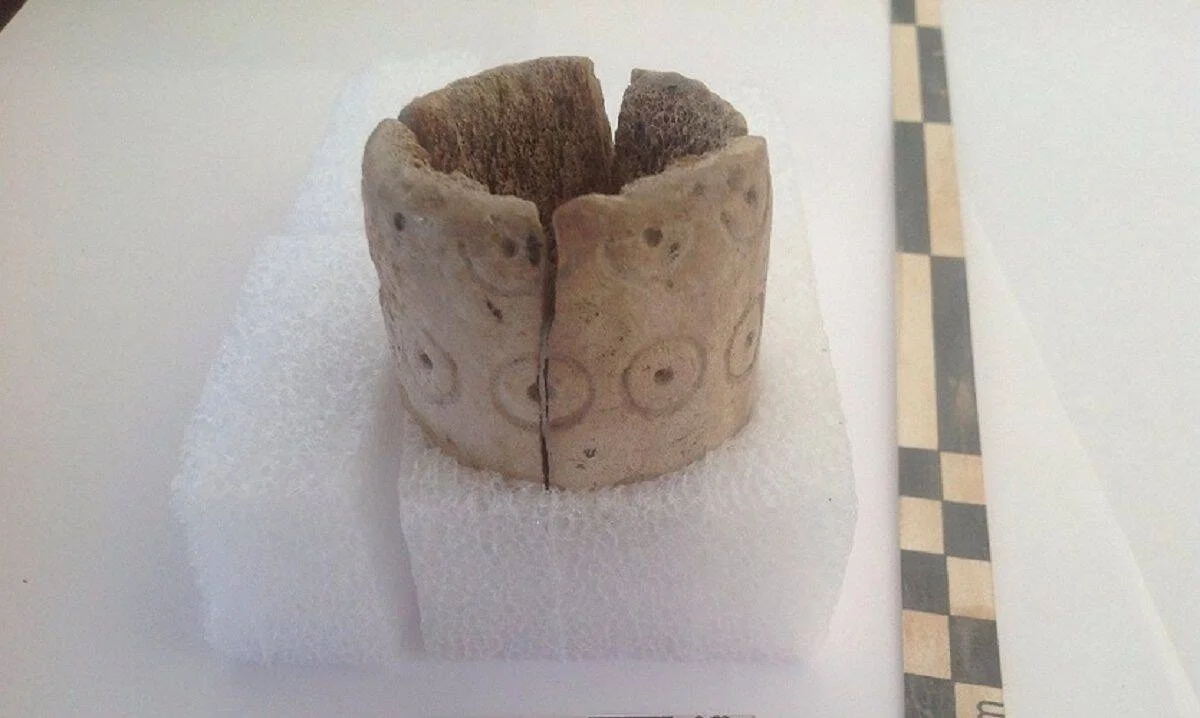 Brazalete antiguo elaborado en hueso con motivos circulares grabados, apoyado sobre soporte de espuma junto a escala de medición.