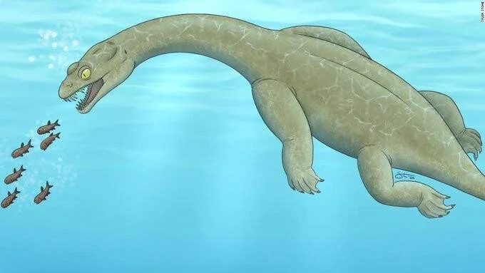 Ilustración de un reptil marino prehistórico de cuello largo nadando bajo el agua mientras persigue un banco de peces pequeños.