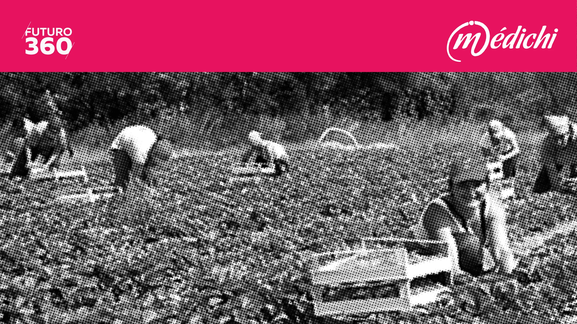 Varios trabajadores con sombreros recolectan a mano cultivos en un campo, en imagen en blanco y negro con estética de semitono.