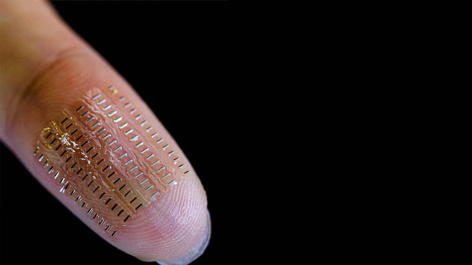 Lámina electrónica flexible con microestructuras metálicas en cuadrícula adherida a la yema de un dedo humano.