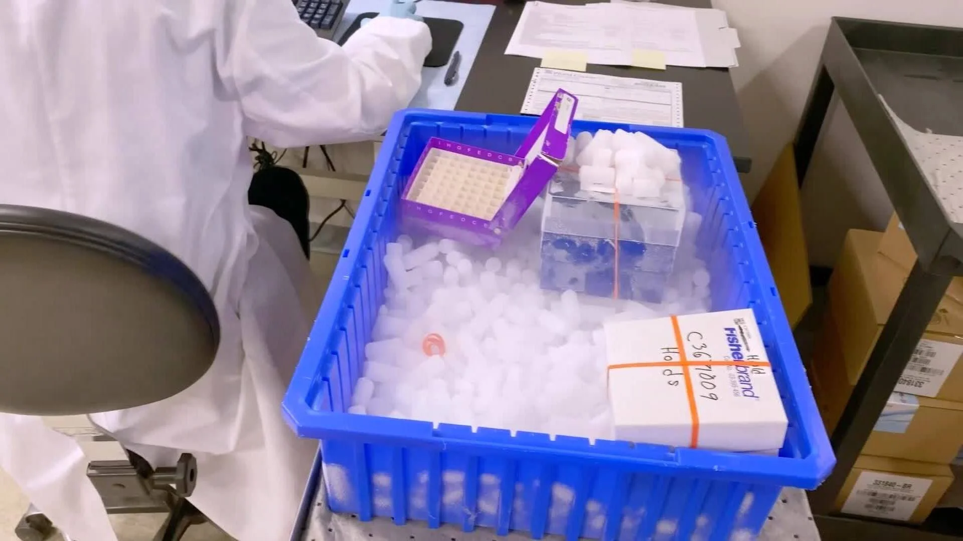 Técnico de laboratorio con bata blanca manipula muestras almacenadas en hielo seco dentro de un contenedor azul.