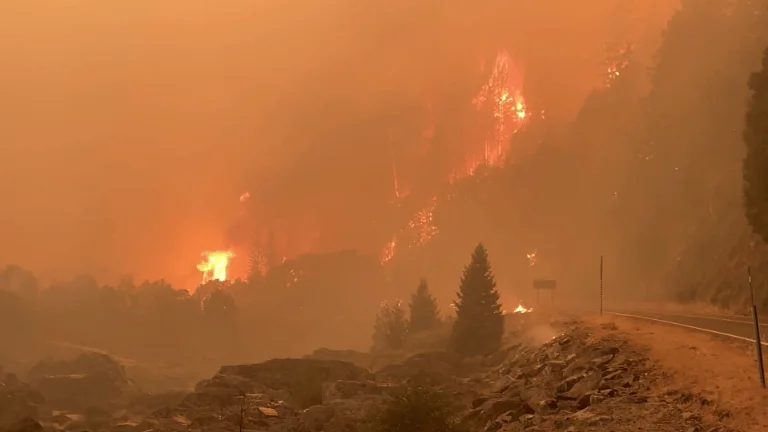 Grandes llamas consumen una ladera boscosa mientras el humo naranja cubre el cielo y una carretera queda expuesta al fuego.