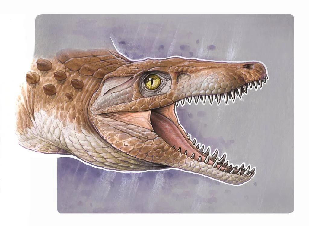 Reconstrucción artística de la cabeza de un reptil prehistórico con la boca abierta mostrando dientes afilados y ojo amarillo.