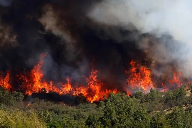 Intensas llamas y columnas de humo negro consumen una ladera de vegetación durante un incendio forestal.