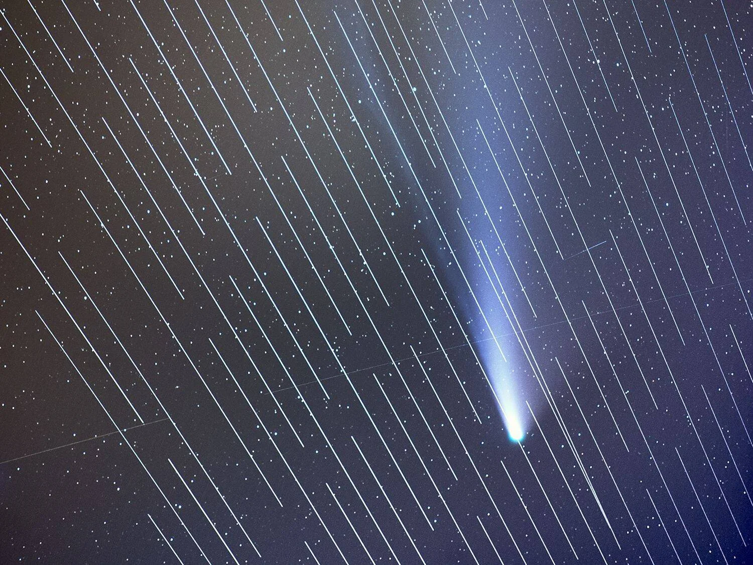 Cometa brillante con larga cola azul captado en exposición larga, con rastros de satélites cruzando el cielo nocturno.