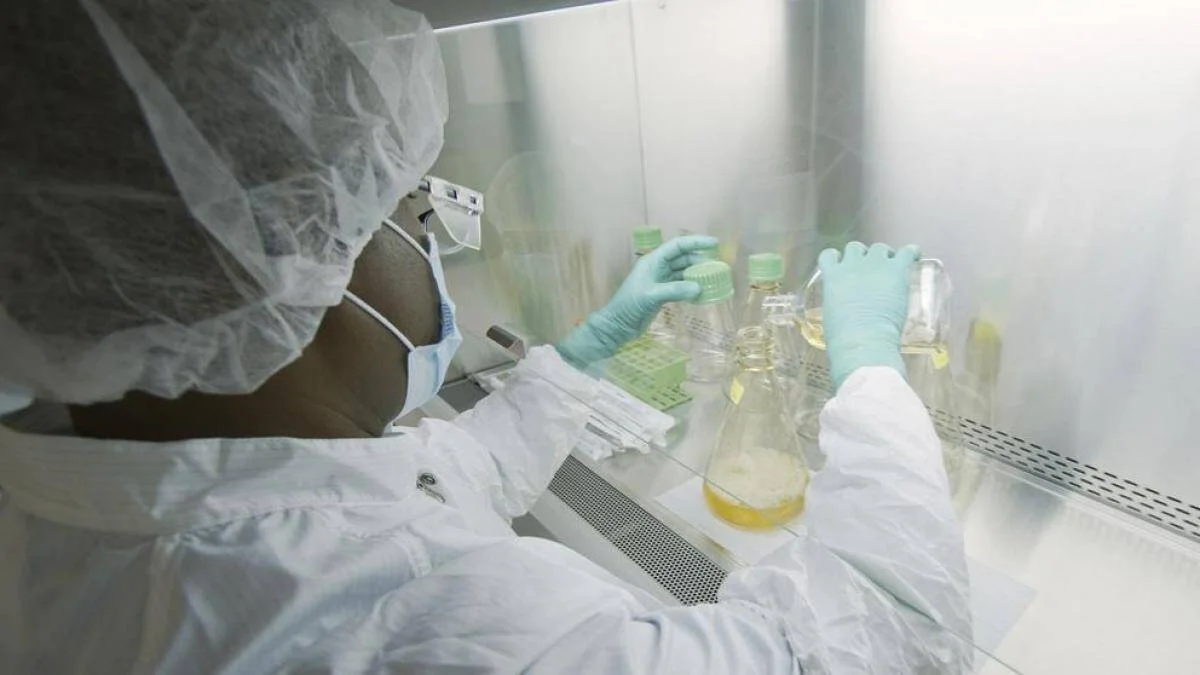 Investigador con equipo de protección manipula frascos con sustancias líquidas dentro de una cabina de flujo laminar en laboratorio.