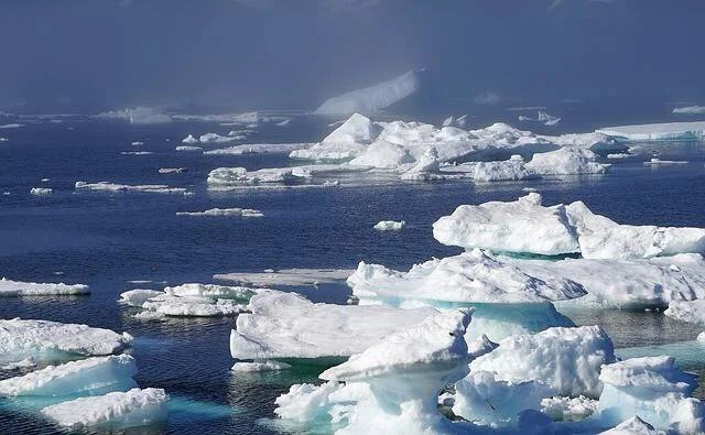 Numerosos témpanos y bloques de hielo flotando en las aguas azules de un océano polar bajo un cielo nublado.