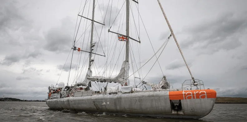 El velero científico Tara navega en aguas grises bajo un cielo encapotado, con banderas británica y francesa en el mástil.