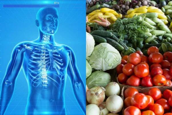 Ilustración de esqueleto humano en rayos X azul junto a un puesto de verduras y hortalizas frescas coloridas.
