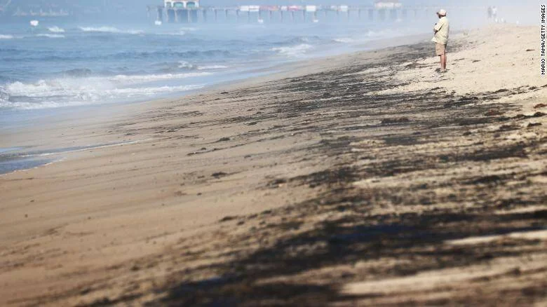 Una persona observa una playa cubierta de manchas de petróleo, con un muelle visible al fondo entre la neblina.