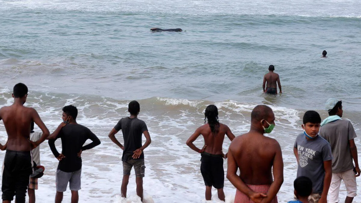 Grupo de personas en la orilla de una playa observa un gran animal marino varado entre las olas.