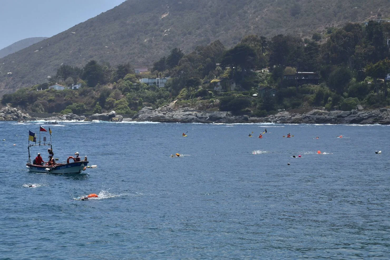 Nadadores en aguas abiertas acompañados por kayaks y un bote de rescate frente a una costa rocosa con cerros.