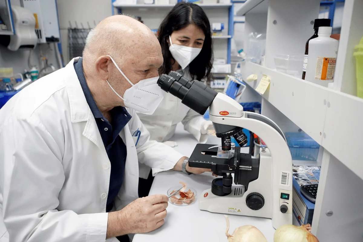 Dos científicos con bata blanca y mascarilla examinan una muestra en un microscopio óptico dentro de un laboratorio.