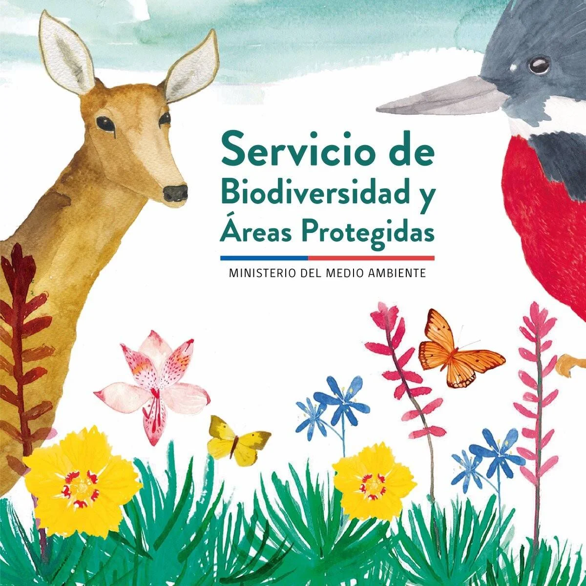 Ilustración acuarela del Servicio de Biodiversidad y Áreas Protegidas del Ministerio del Medio Ambiente de Chile, con un ciervo, un pájaro, mariposas y flores coloridas.