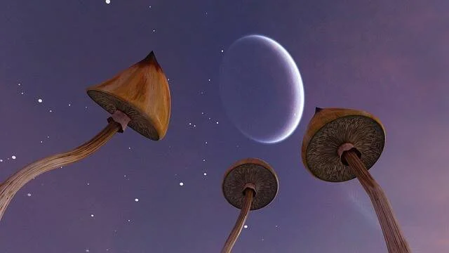 Vista desde abajo de hongos gigantes estilizados en un paisaje fantástico con luna creciente y cielo estrellado púrpura.