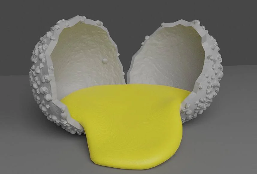 Ilustración 3D de un huevo roto en dos mitades con textura rugosa y yema amarilla derramada.
