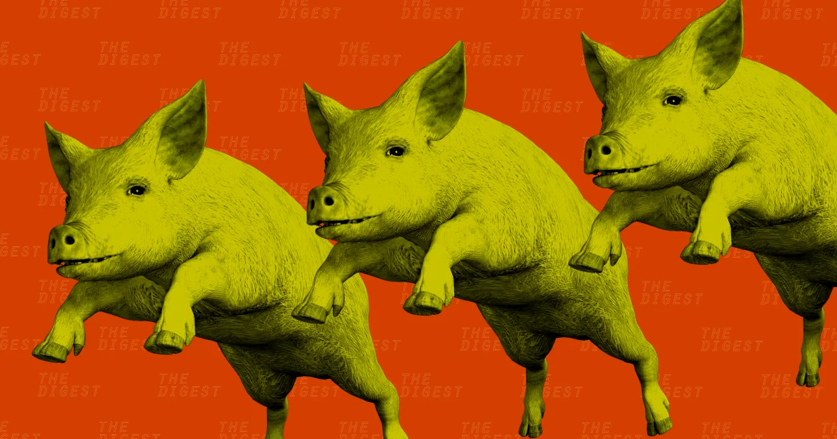 Ilustración estilizada de tres cerdos con tono amarillo-verdoso corriendo sobre fondo naranja intenso.