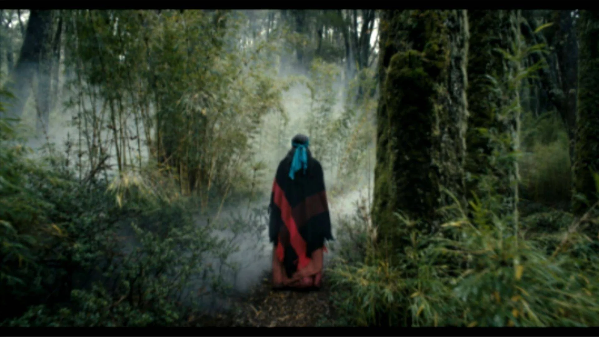 Persona de espaldas con manta roja y pañuelo azul de pie en un sendero de bosque envuelto en niebla.