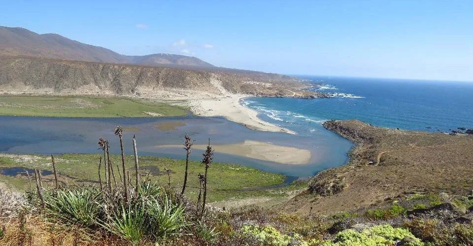 Vista panorámica de una laguna costera que desemboca en el mar, rodeada de cerros áridos y vegetación xerófita en primer plano.