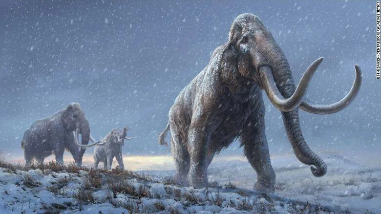 Recreación artística de tres mamuts lanudos caminando sobre una tundra nevada bajo una tormenta de nieve.
