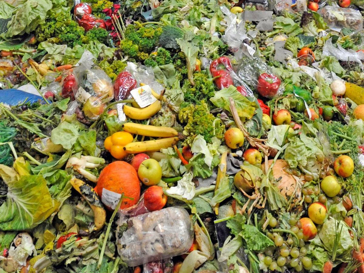 Gran cantidad de frutas, verduras y hojas desechadas amontonadas, ilustrando el desperdicio alimentario.