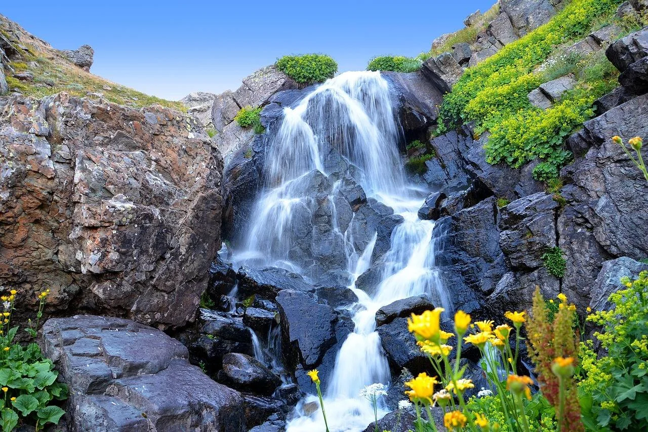 Cascada de agua que desciende por rocas oscuras rodeada de vegetación verde y flores silvestres amarillas bajo cielo azul.