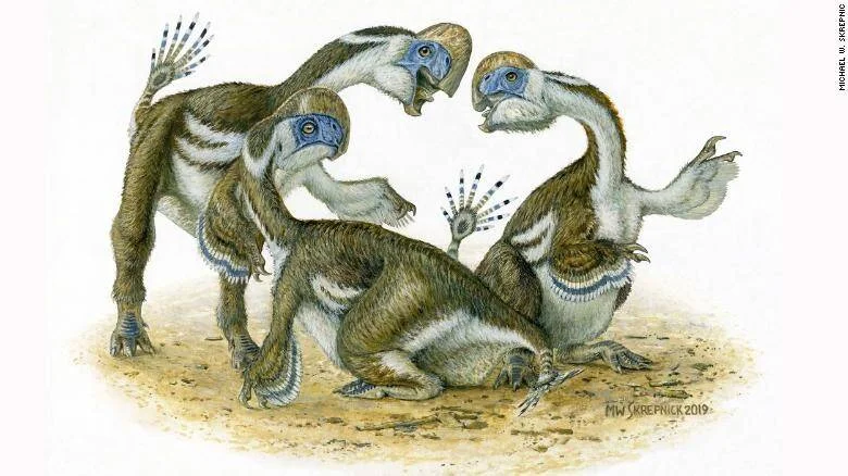 Reconstrucción artística de tres dinosaurios oviraptóridos emplumados interactuando, uno sentado y dos de pie, obra de Michael W. Skrepnick (2019).