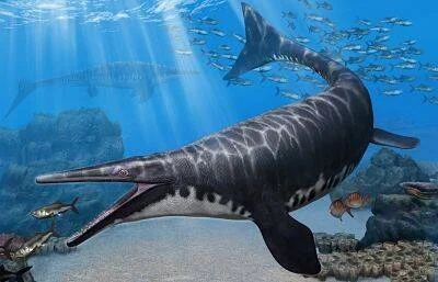 Reconstrucción artística de un mosasaurio nadando con la boca abierta en un océano prehistórico rodeado de peces y corales.
