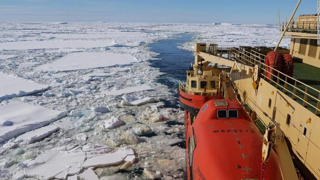 Rompehielos abre paso entre bloques de hielo marino en aguas antárticas bajo cielo despejado.
