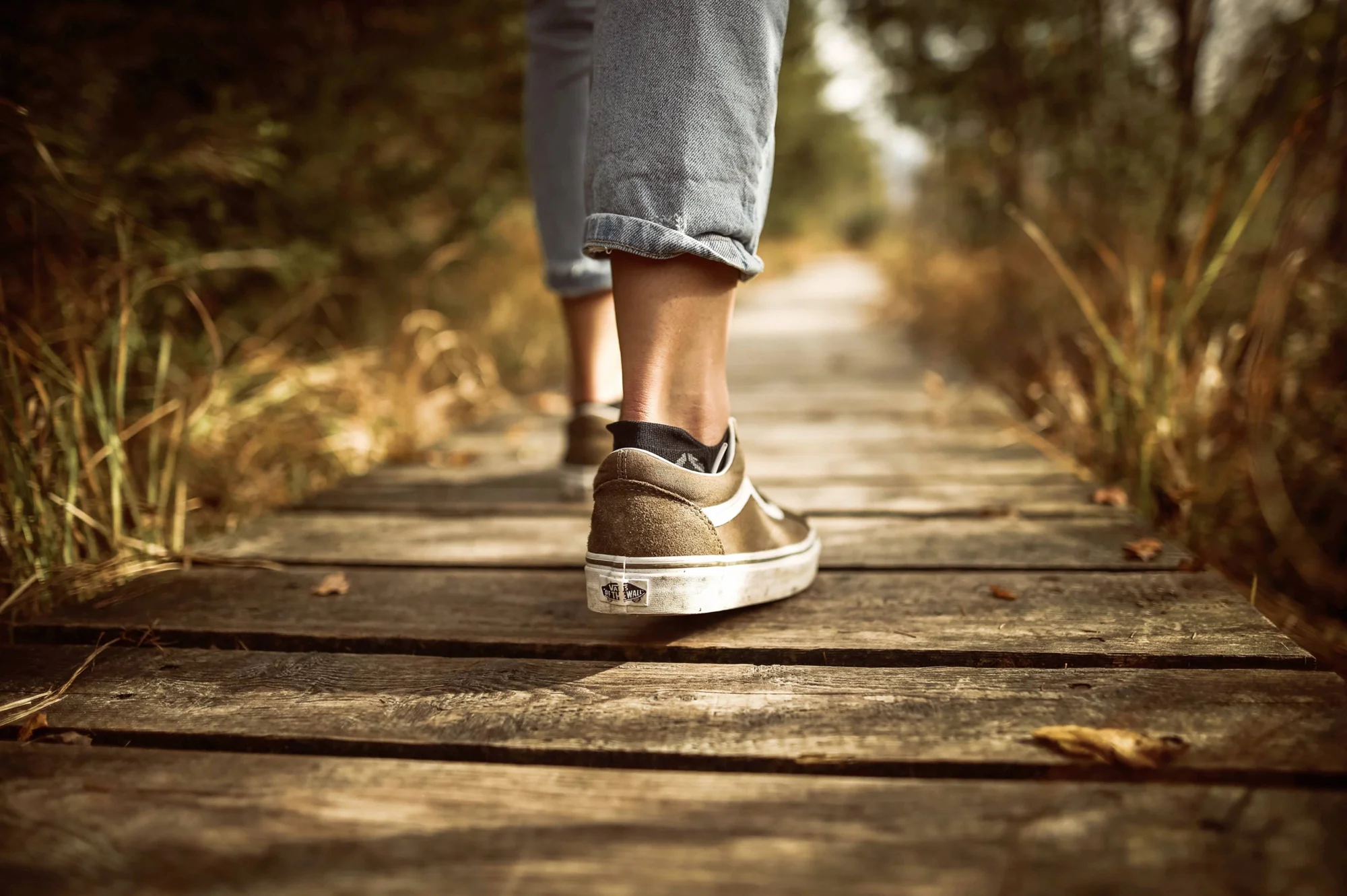 Piernas con jeans y zapatillas Vans caminando sobre un sendero de tablas de madera rodeado de vegetación.