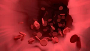 Ilustración 3D de glóbulos rojos circulando por el interior de un vaso sanguíneo.