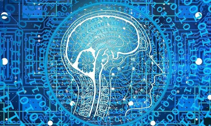 Ilustración de un cerebro humano sobre perfil de cabeza rodeado de circuitos electrónicos y código binario en tonos azules, simbolizando inteligencia artificial.