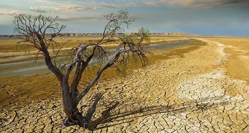 Árbol marchito sobre un vasto paisaje árido con tierra reseca y agrietada, símbolo de la sequía extrema.