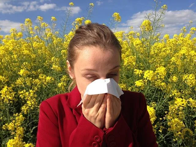 Mujer sonándose la nariz con un pañuelo rodeada de flores amarillas en flor, símbolo de alergia primaveral.