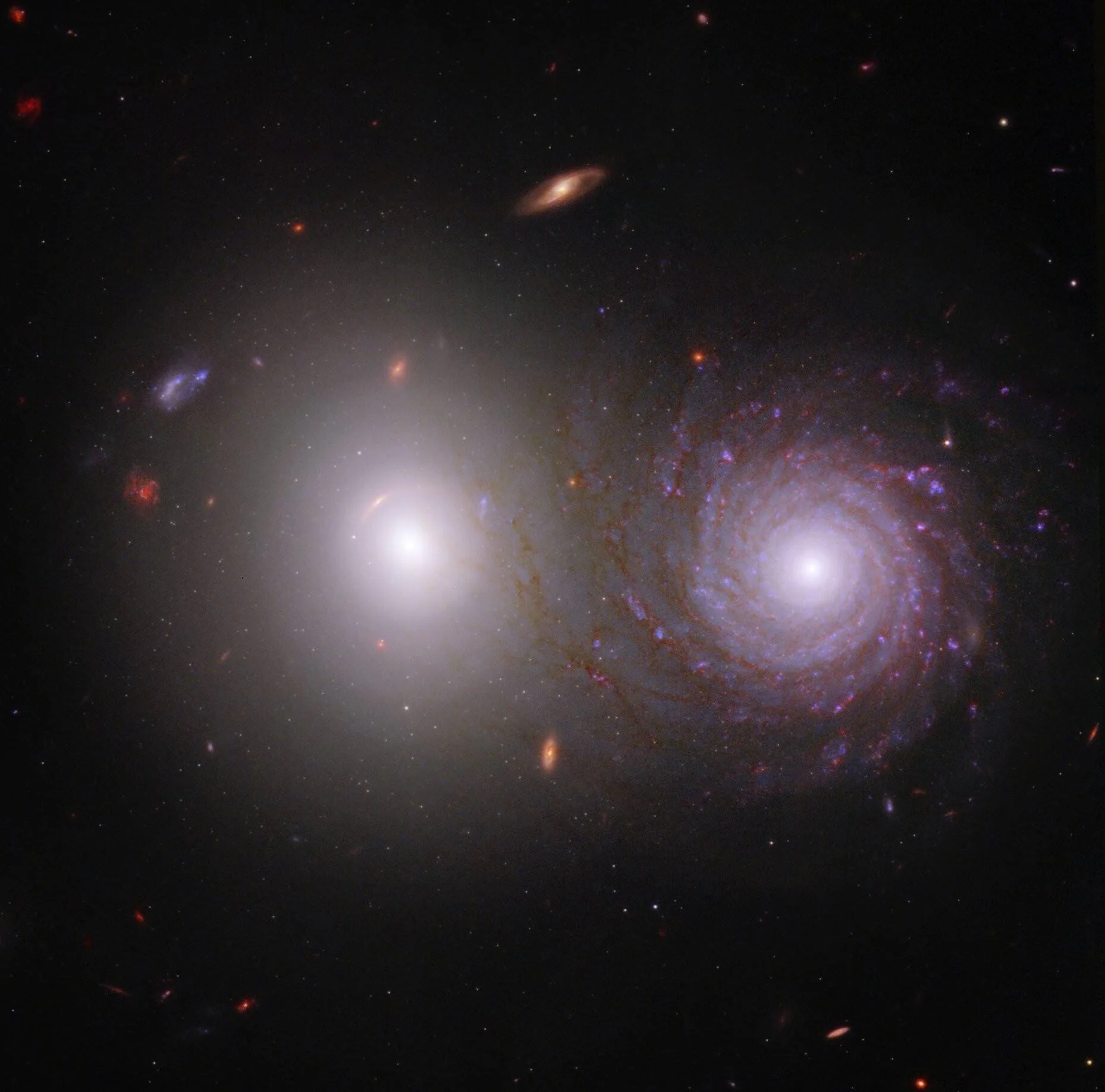 Dos galaxias próximas: una elíptica luminosa a la izquierda y una espiral con brazos azules y rojos a la derecha, rodeadas de galaxias de fondo.