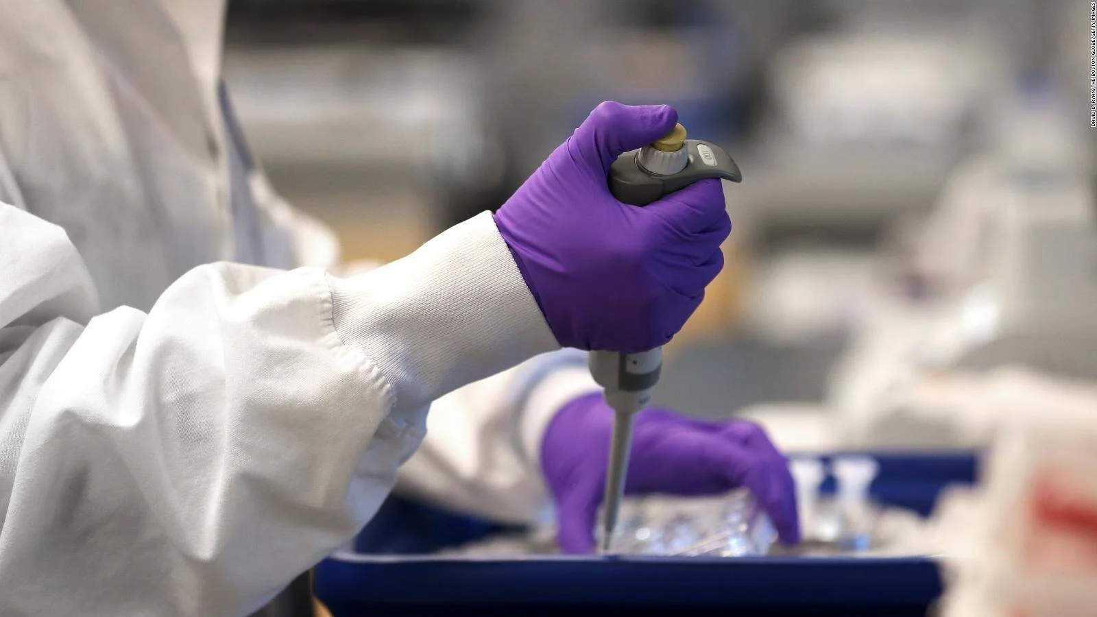 Investigador con guantes morados usa una micropipeta para trasvasar muestras en un laboratorio científico.