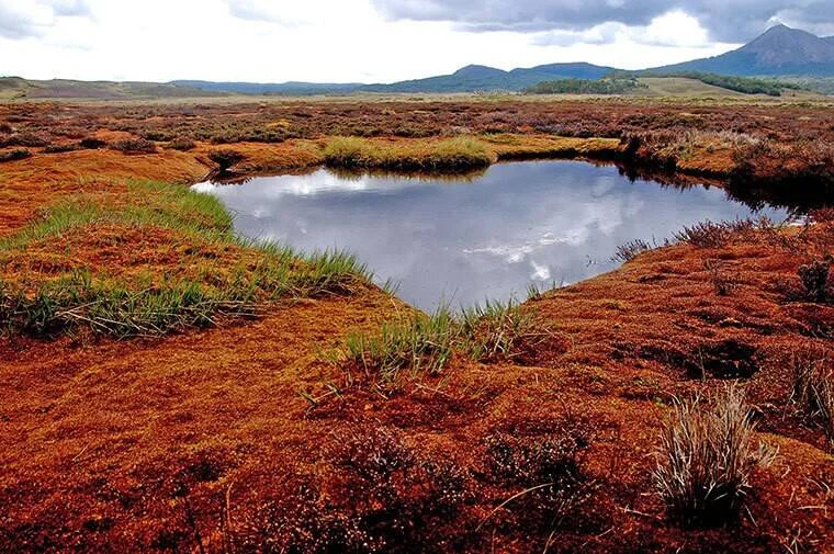 Pequeña laguna rodeada de turbera de musgo rojizo y pastizales, con montañas al fondo bajo cielo nublado.