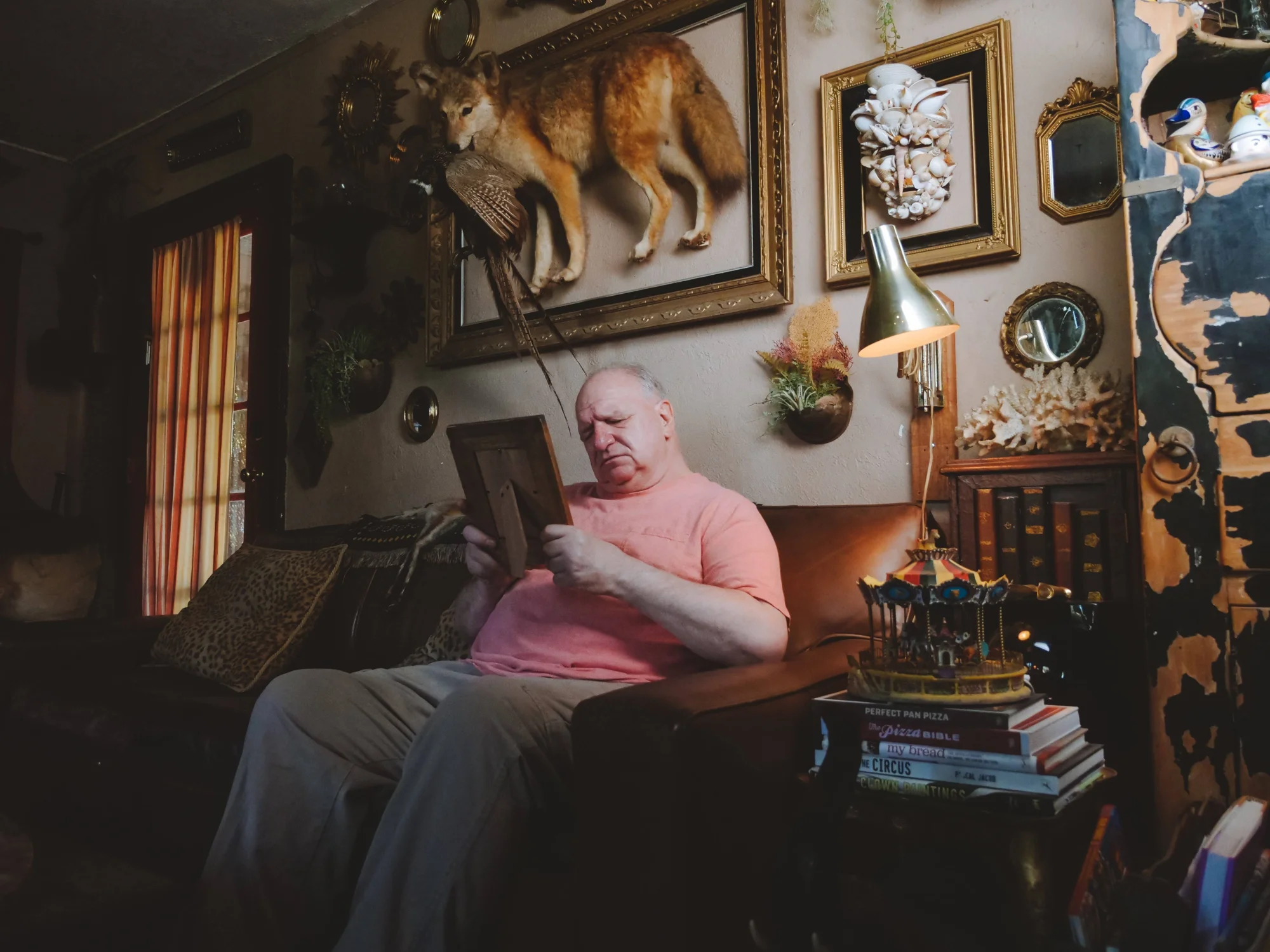 Hombre mayor sentado en sillón mira pensativo una fotografía enmarcada, rodeado de animales disecados, libros y objetos decorativos vintage.