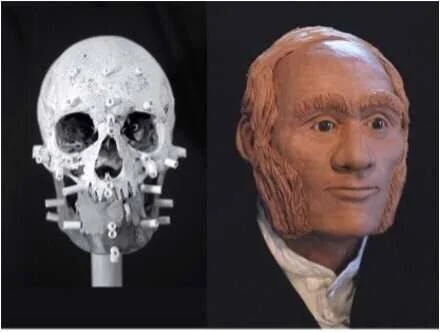 Cráneo con marcadores de tejido junto a su reconstrucción facial en arcilla mostrando el rostro aproximado del individuo.