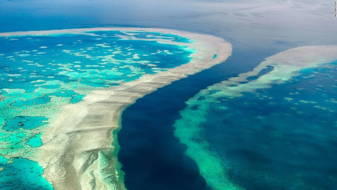 Vista aérea de un extenso arrecife de coral con aguas turquesas, canales profundos y bancos de arena visibles desde el aire.