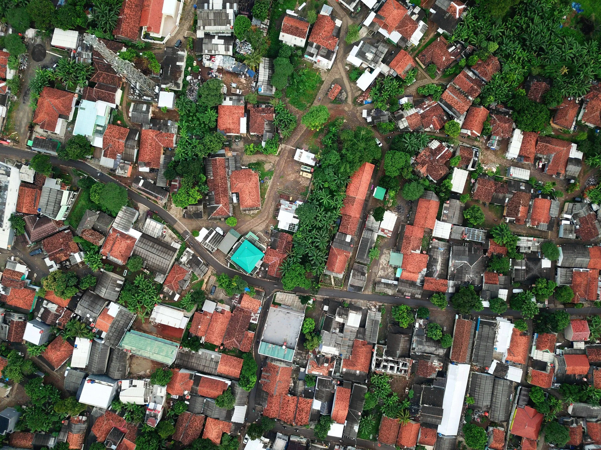 Vista cenital de un barrio densamente poblado con techos de teja roja entremezclados con palmeras y vegetación tropical.