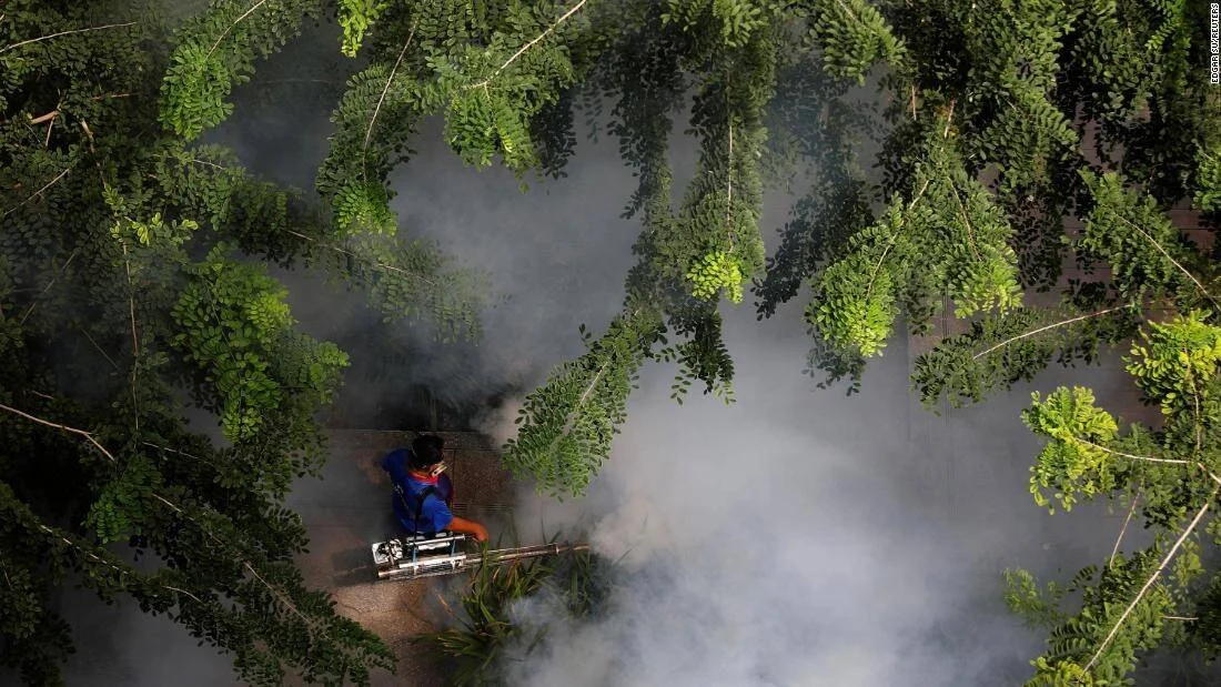 Vista aérea de un trabajador fumigando con máquina termonebulizadora entre árboles frondosos para combatir mosquitos.