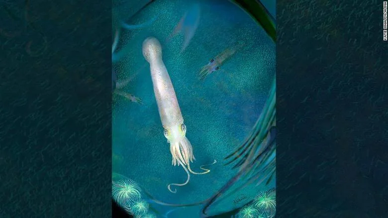 Ilustración artística de un calamar primitivo de cuerpo alargado nadando en un océano prehistórico de tonos turquesa, rodeado de otras criaturas marinas.